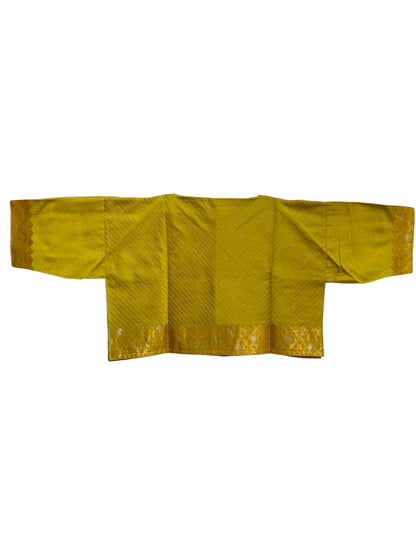 Formal chanderi Embroidered Indowestern set