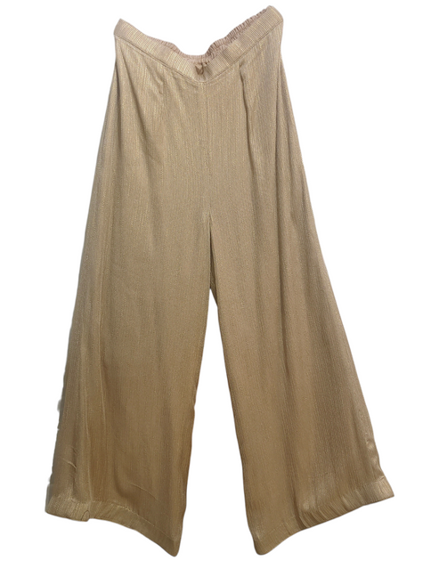 Beige plazzo pant  a white background