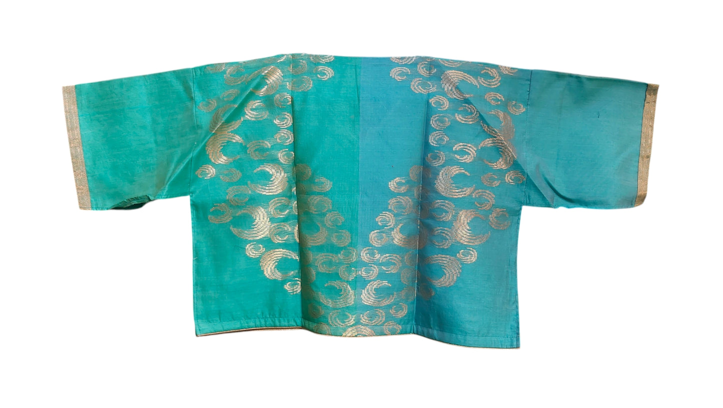 Formal Silk Paisley Zardozi saree
